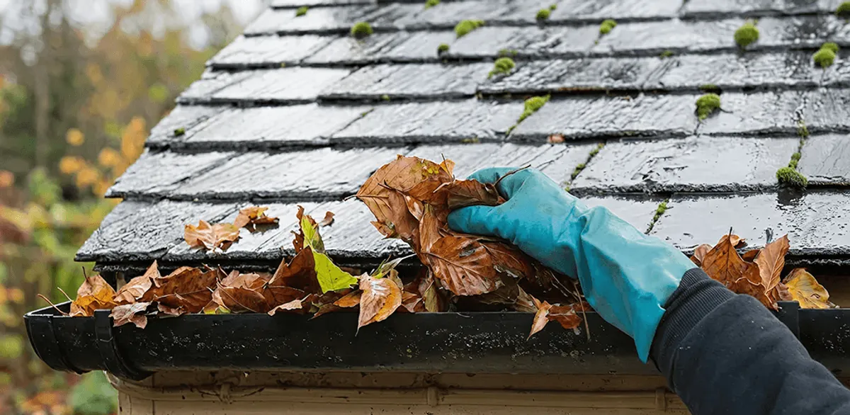 Gutter cleaning technician clearing wet leaves from roof gutters in Hialeah, FL